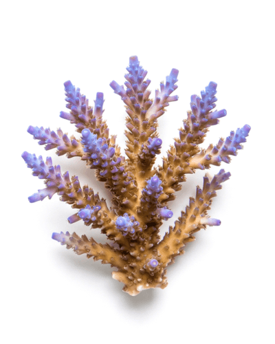 Build working systems